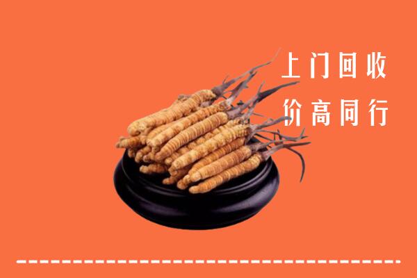 高价求购：毕节金沙回收散虫草