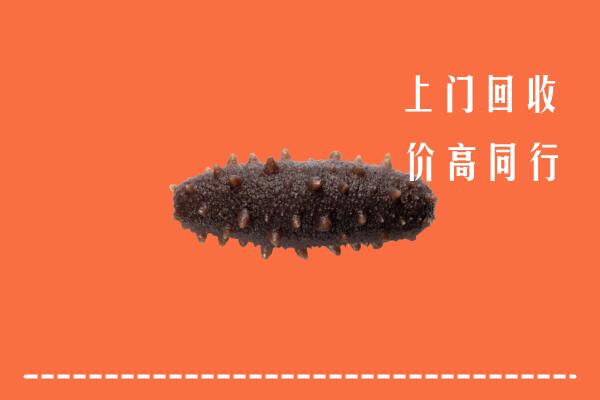 高价求购：毕节金沙回收海参