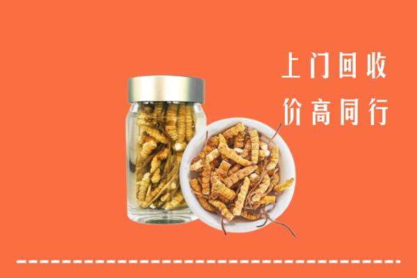 毕节金沙回收冬虫夏草
